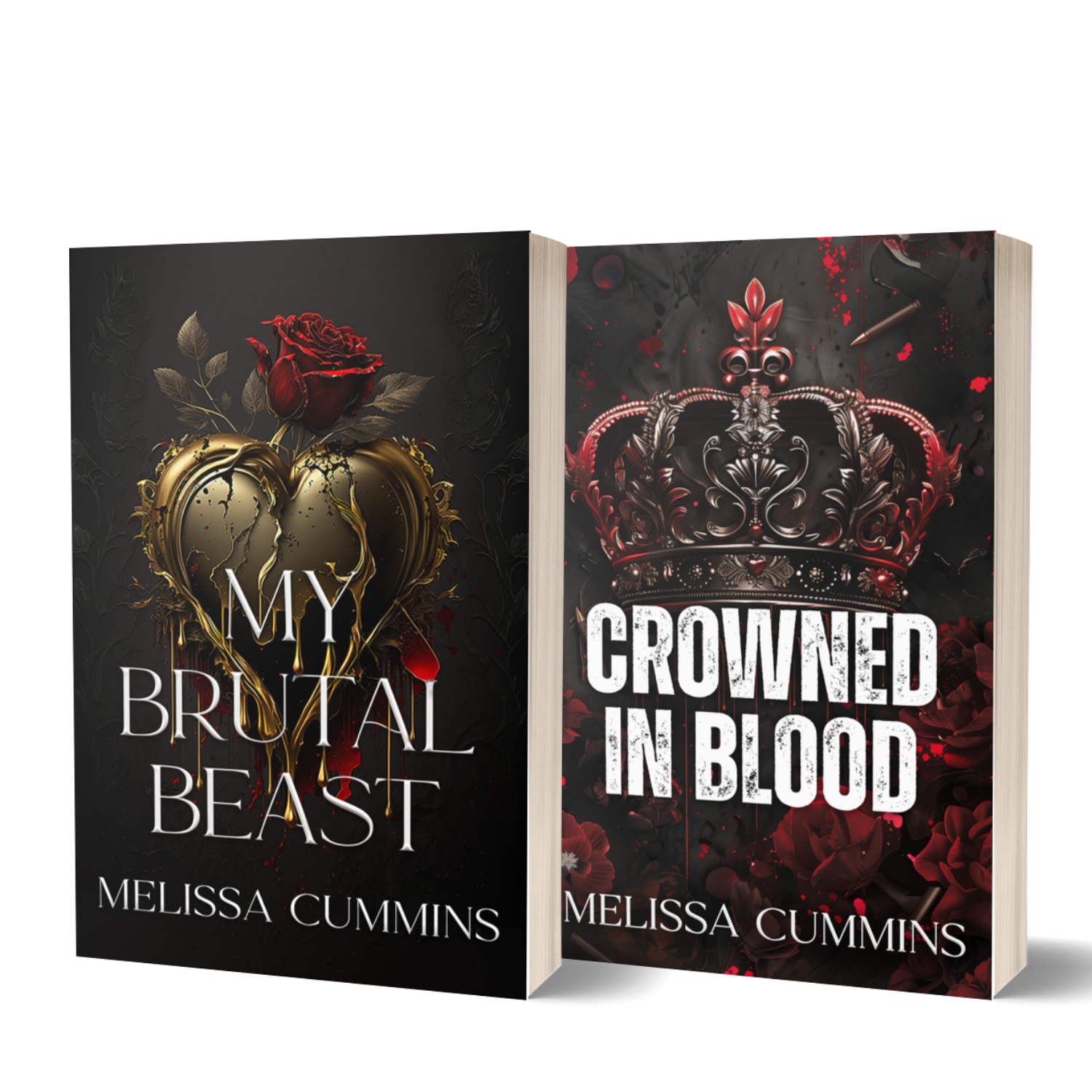 Spicy Standalone Paperback Bundle - Dark Romance
